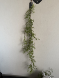 Hanger groen asparagus