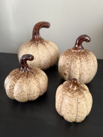 Pompoenen beige /bruin  4 verchillende