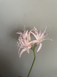 Nerine roze 91 cm