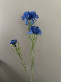 Centaurea 68 cm blue