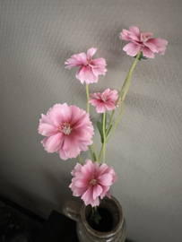 Madelon pink 64 cm