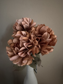 Dahlia licht bruin