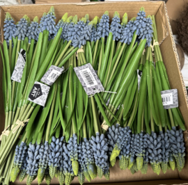 Druifjes blauw en crème  5 st. 