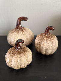 Pompoenen beige /bruin  4 verchillende