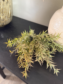 Rozemarijn bush brons 36 cm