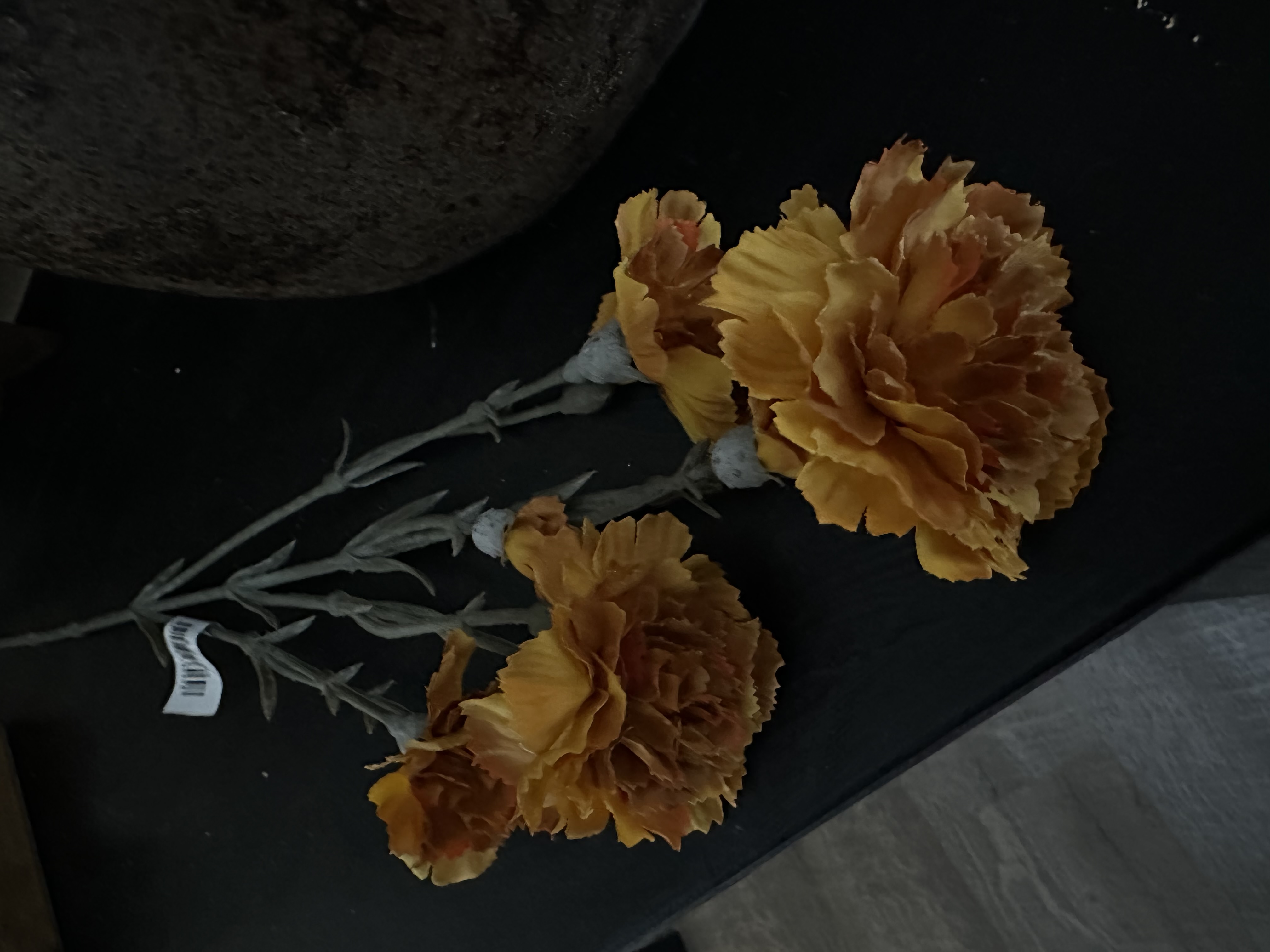 Dianthus donker Geel