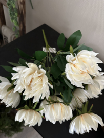 Bos dahlia,s
