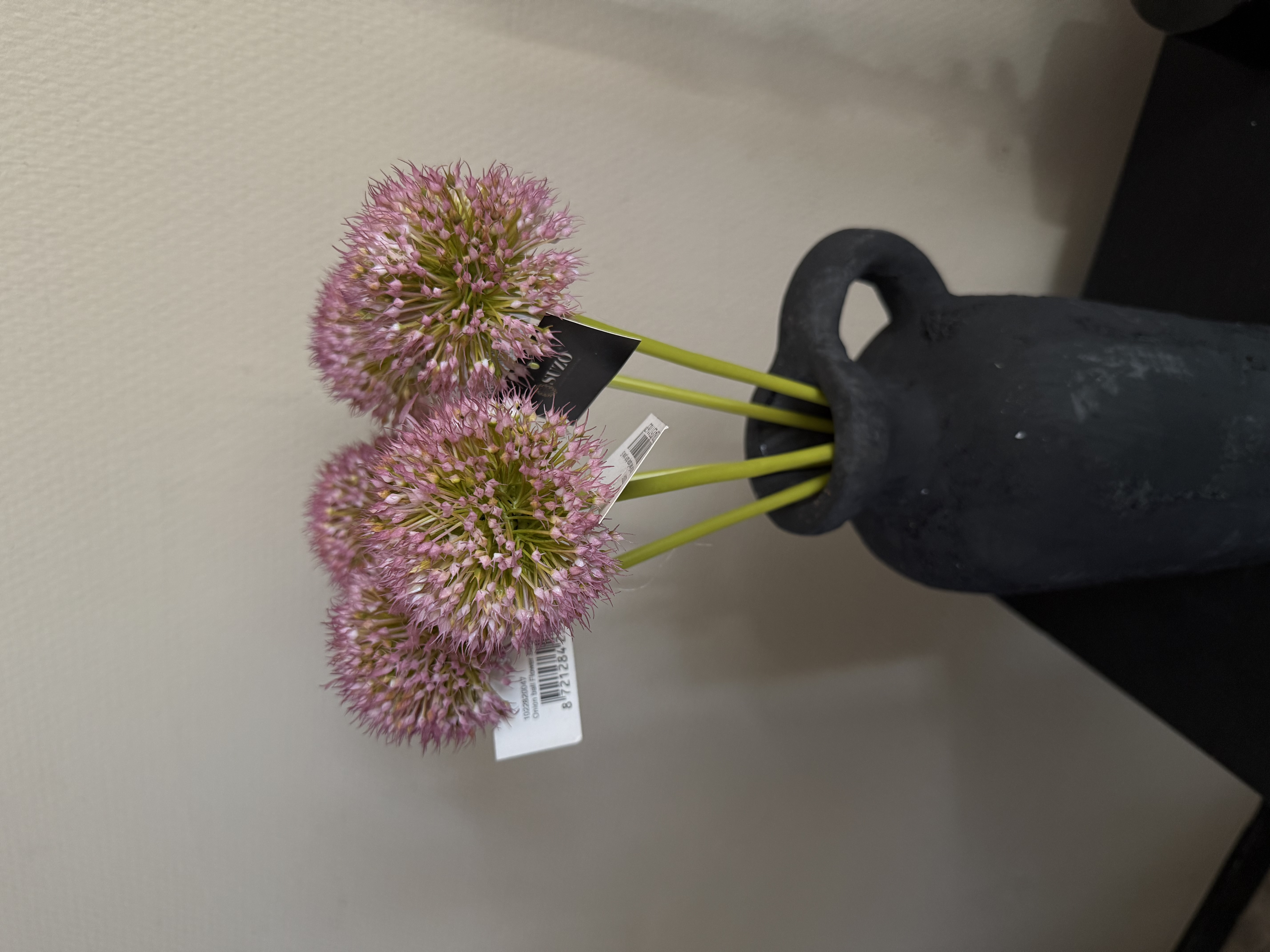 Allium bollen in 5 kleuren