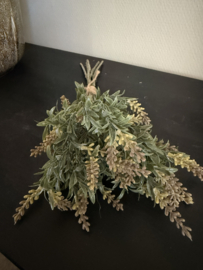 Bosje Lavendel grijs Bosje Lavendel grijs