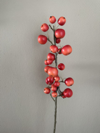 Malus appeltjes ( kunst )