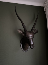 Wand antilope kop