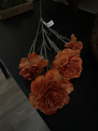 Dianthus 60 cm oranje