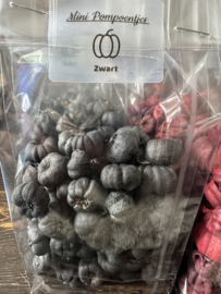Mini pompoentjes