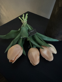 Tulpen Zalm  30 cm