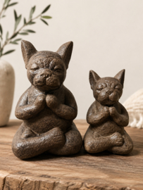 Beeld Pawsana in 2 maten