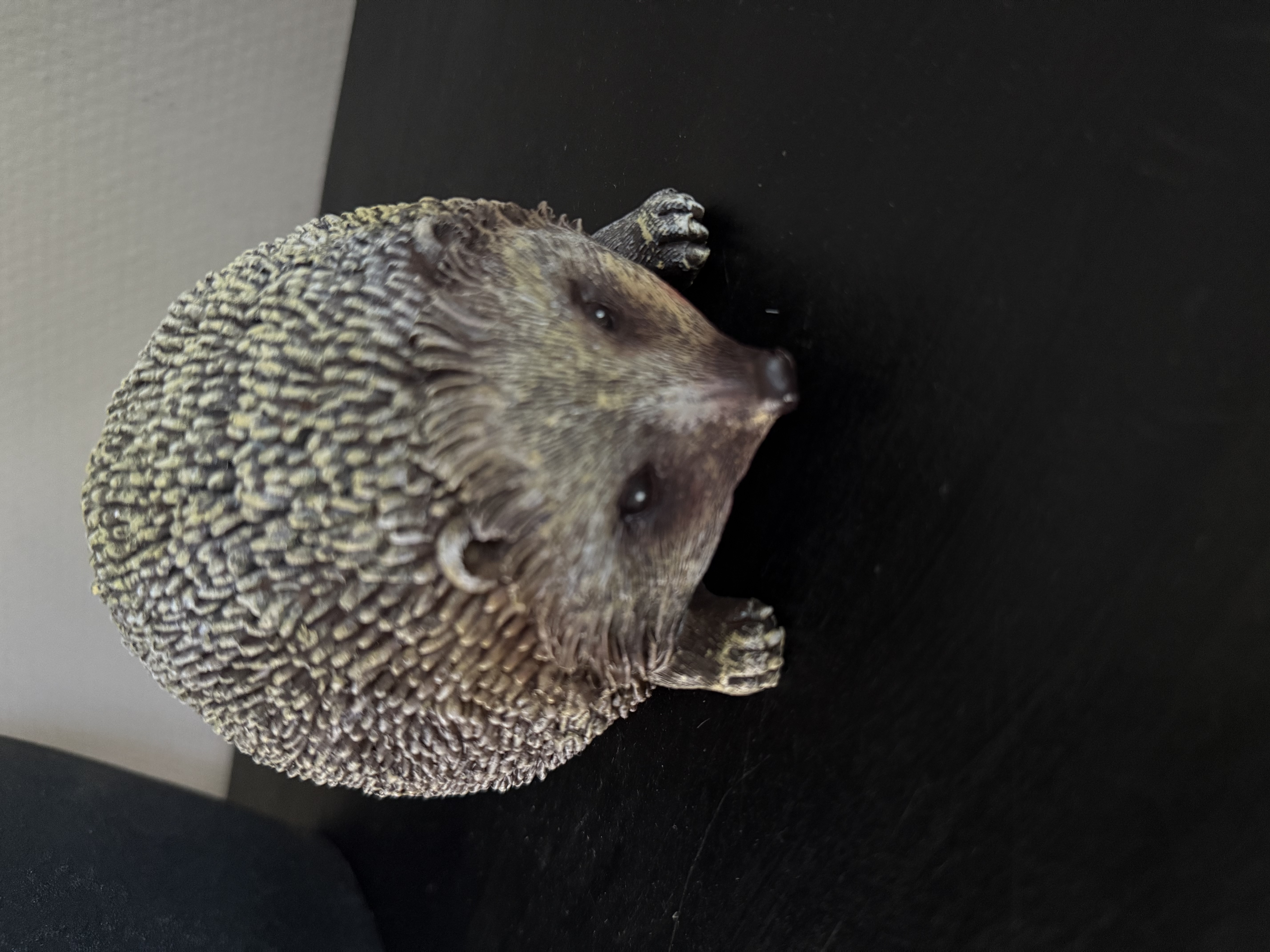 Egel Walter