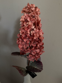 Hydrangea 82 cm