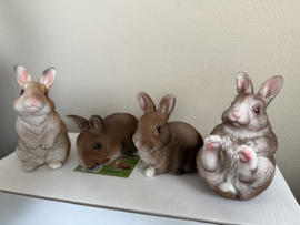 Doos met 4 konijntjes)  maat M