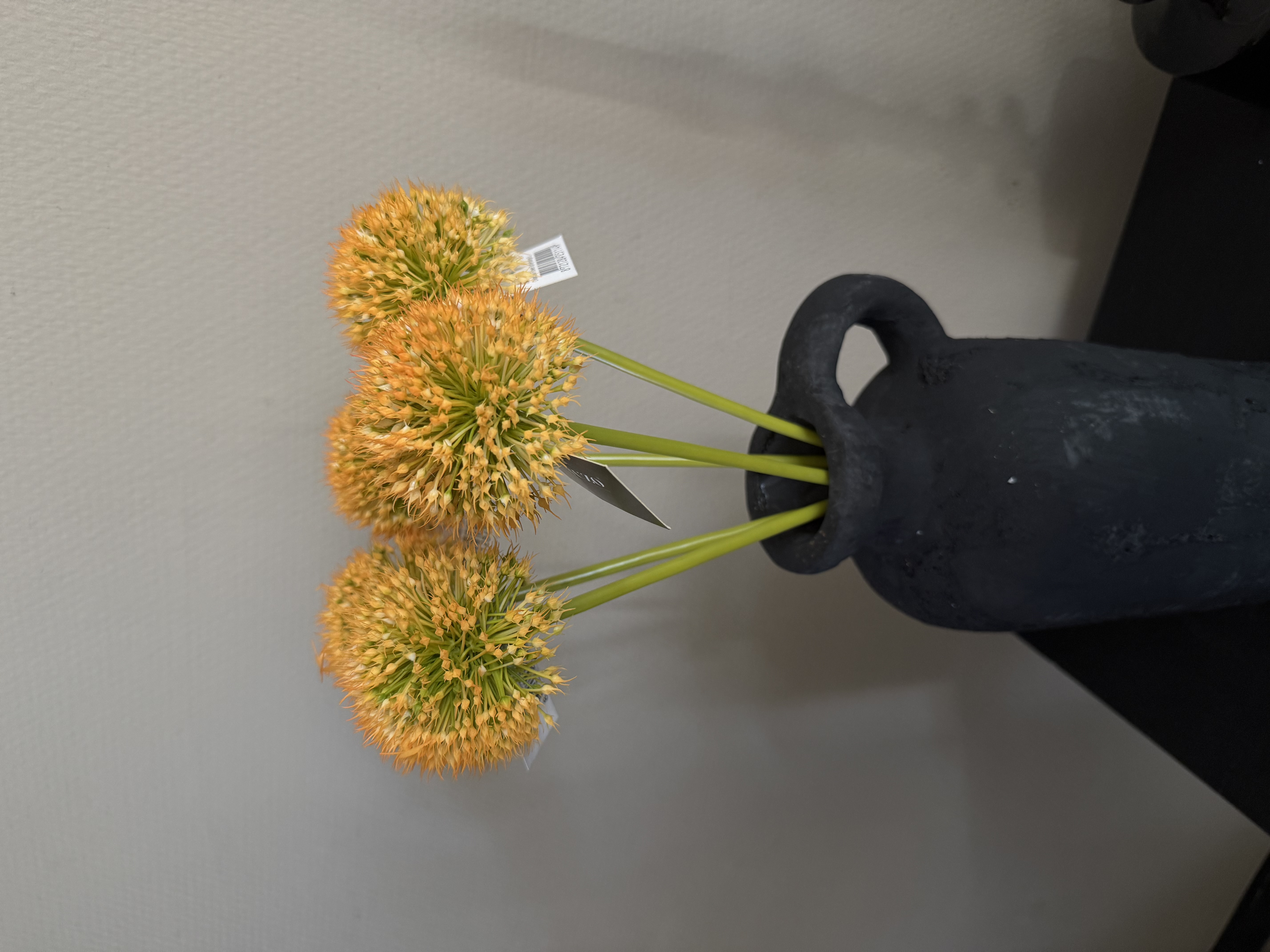 Allium bollen in 5 kleuren