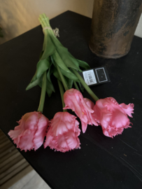 Parrot tulpen roze 40 cm
