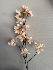 Kersenbloesem creme 82 cm