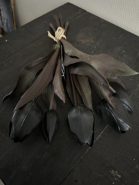 Bos tulpen 5 st. Black  30 cm