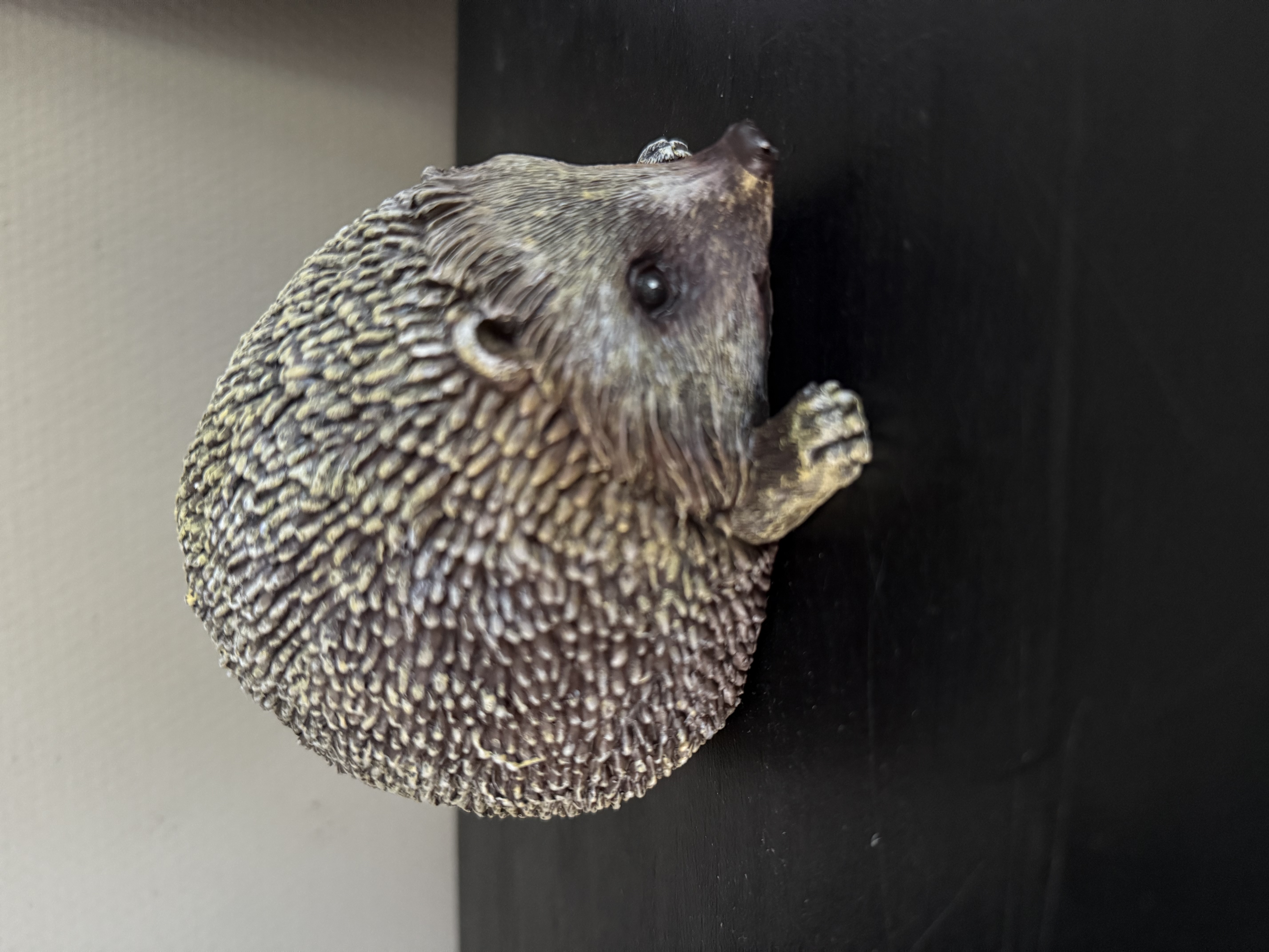 Egel Walter