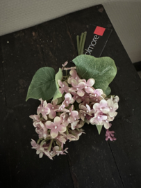 Bosje hortensia plum lilac