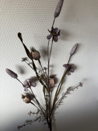 Veldboeket beige/lila