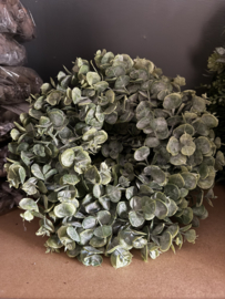 Eucalyptus krans  voor op een schaal