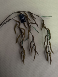 Bes Mulberry groen hangend