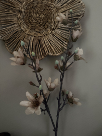 Magnolia taupe bruin