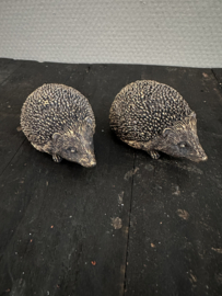 Egel Andy bruin
