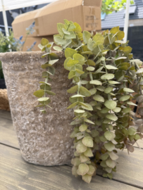 Vensterbank pot Harold