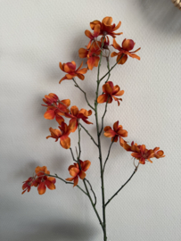 Kersenbloesem oranje 82 cm