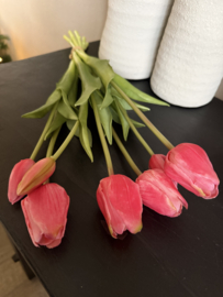 Tulpen fuchsia ( 7 st) 47 cm