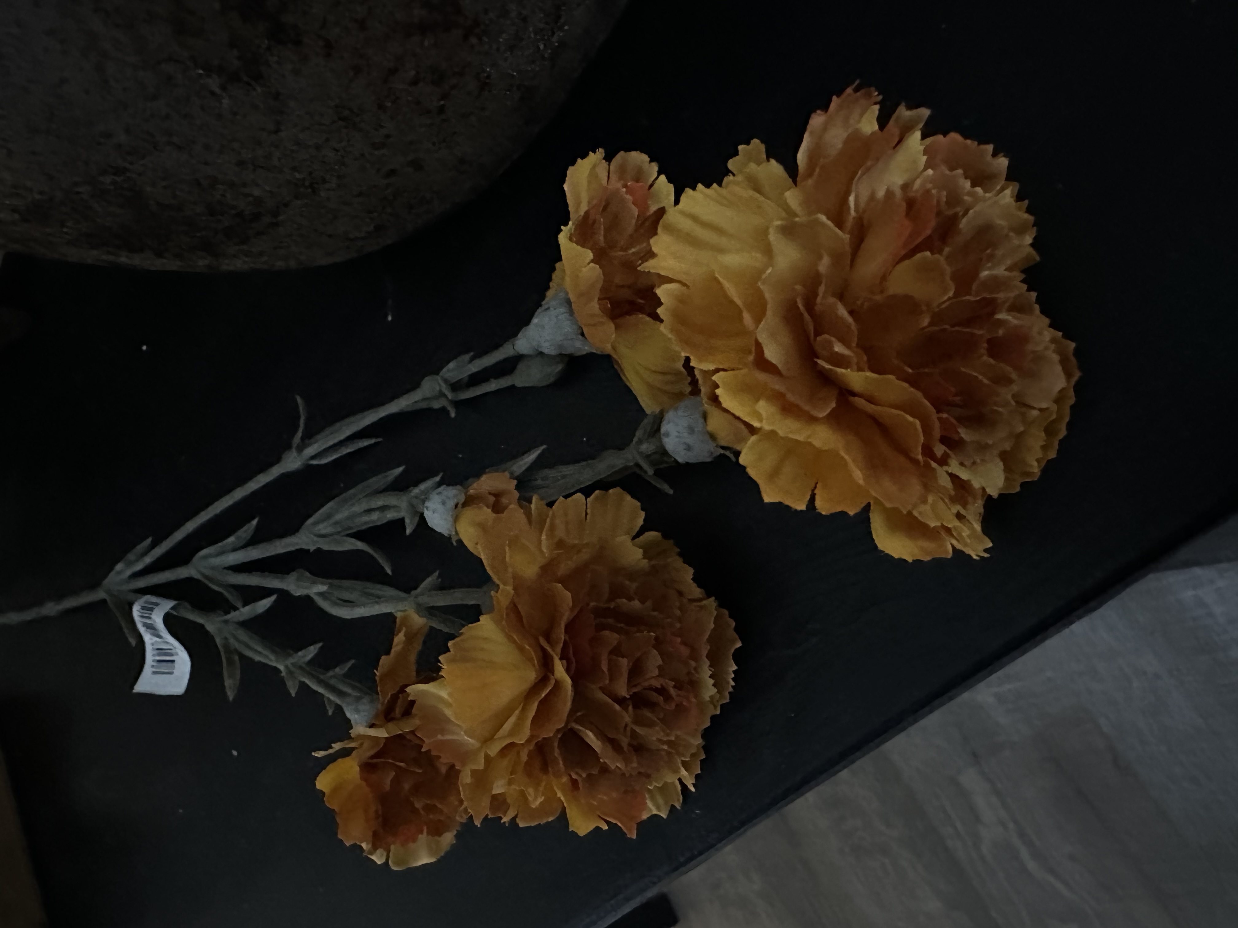 Dianthus donker Geel