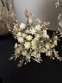 Bundel Gypsophila crème