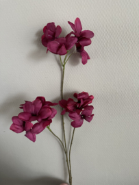 Frangipani 90 cm
