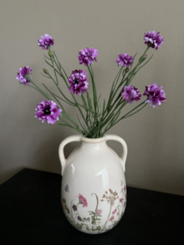 Centaurea cyanus paars