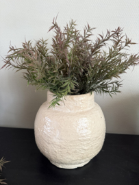 Rozemarijn bush dark 36 cm