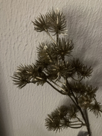 Queen Anne lace spray champagne