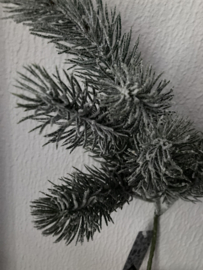 Pine spray frosted green