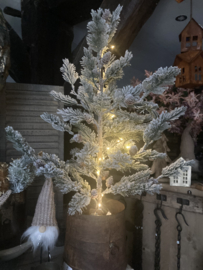 Besneeuwde boompje