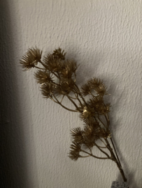 Queen Anne lace spray goud