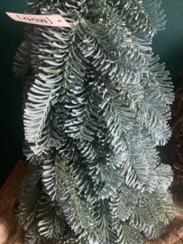 Kunst noblis 75cm