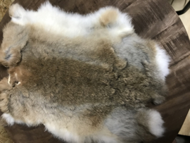 Konijnenvacht bruin