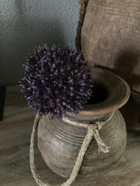 Allium kunst