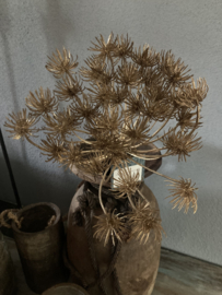 Berenklauw goud kunst