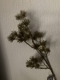 Queen Anne lace spray champagne